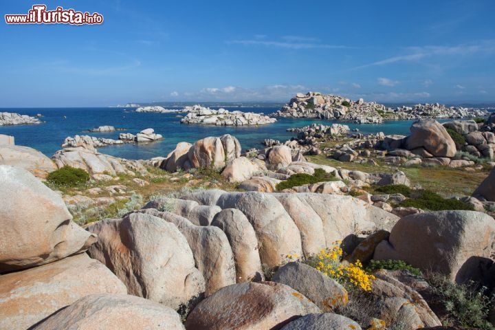 Immagine Uno scorcio panoramico dall'isola di Lavezzi, Corsica: formazioni rocciose, natura e mare blu.