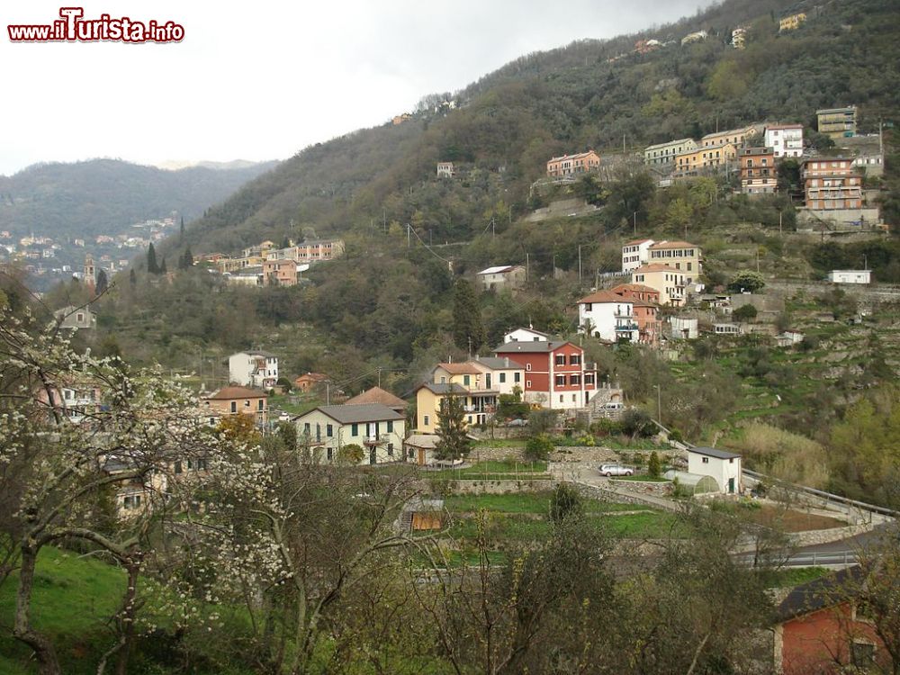 Immagine Uno scorcio panoramico del comune di Avegno, provincia di Genova (Liguria) - © Cosmin latan, CC BY-SA 3.0, Wikipedia