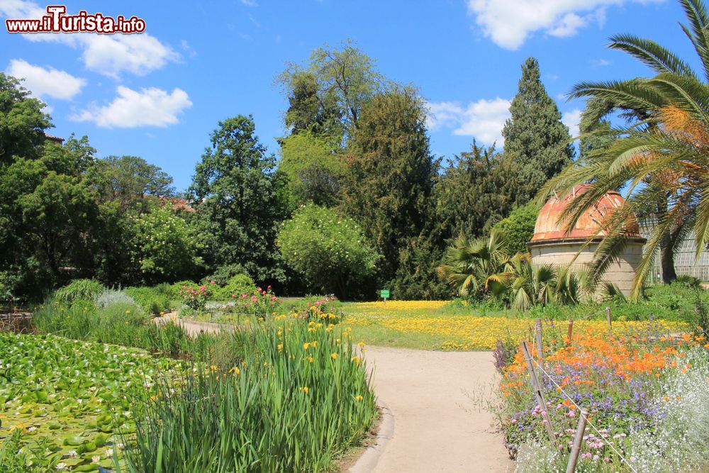 Immagine Uno scorcio panoramico del giardino botanco di Montpellier in estate, Occitania (Francia).