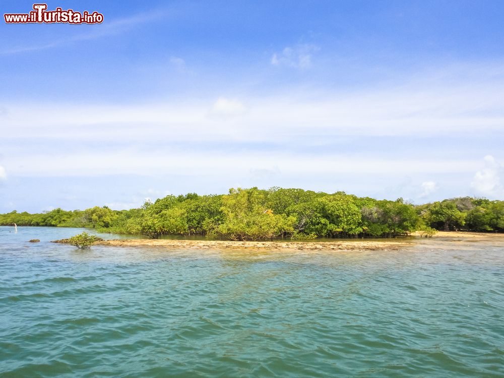 Immagine Uno scorcio panoramico di Manda Island, Kenya. Perfetta per chi cerca mare e relax, quest'isola dell'arcipelago Lamu nasconde tesori artistici e culturali di grande bellezza.