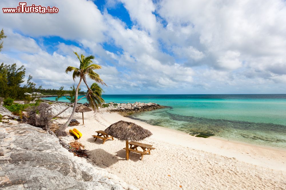 Immagine Uno scorcio panoramico sulla spiaggia tropicale dell'isola di Eleuthera, Bahamas, con ombrelloni in paglia, panche e sedie in legno.