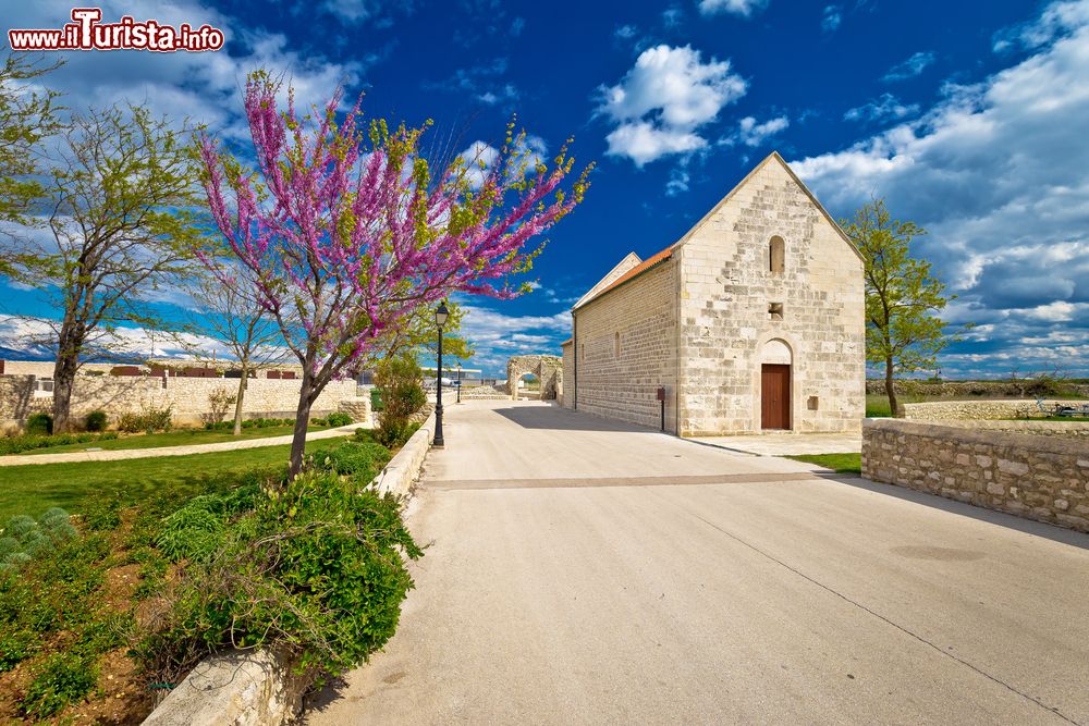 Immagine Uno scorcio primaverile della cittadina di Nin, Croazia, con gli alberi in fiore.