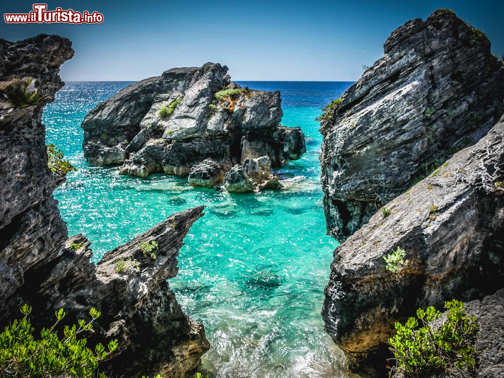 Immagine Uno scorcio su Warwick Beach, Bermuda. Conosciuta per le sue acque blu turchese, le formazioni rocciose semi-sommerse e le grandi distese di spiaggia sabbiosa, Warwick Beach è un vero gioiello naturale. A farle da cornice ci sono la macchia mediterranea, alberi di cedro, viti e dune di sabbia.