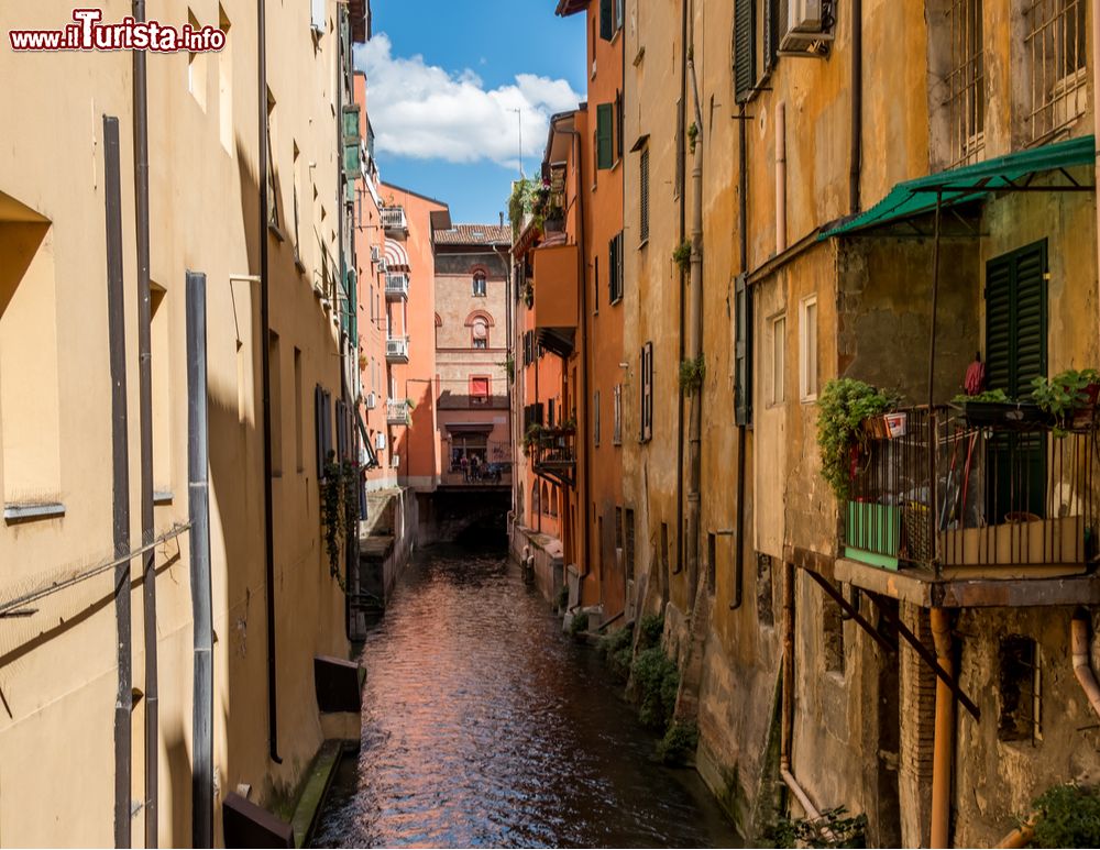 Immagine Uno scorcio suggestivo del Canale delle Moline la via d'acqua nel centro di Bologna