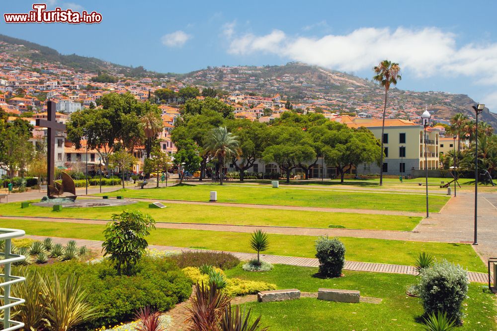 Immagine Uno spazio verde della città di Funchal, capoluogo dell'arcipelago di Madeira.