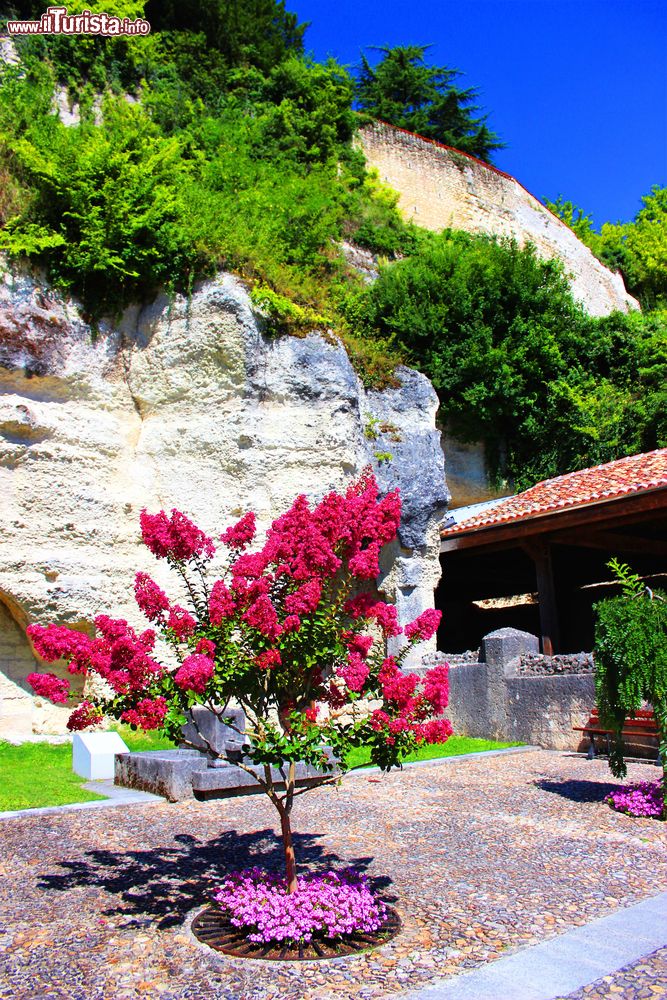 Immagine Uno splendido oleandro fiorito in una piazzetta di Aubeterre-sur-Dronne, Charente, Francia.