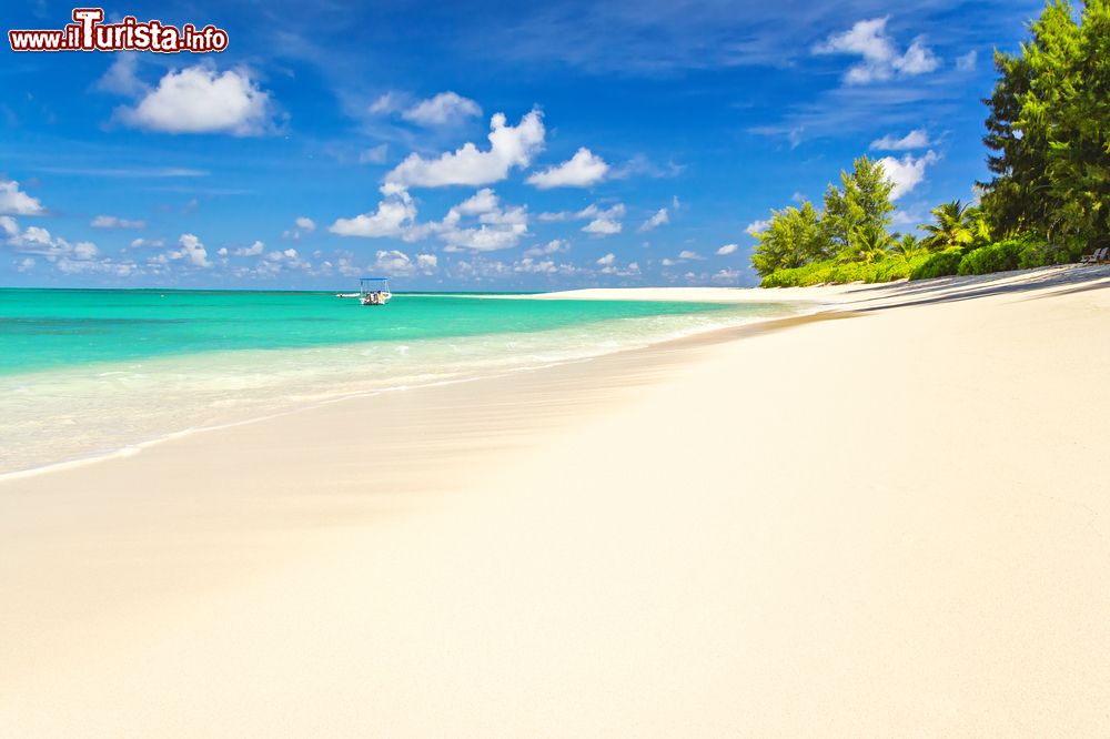 Le foto di cosa vedere e visitare a Denis Island