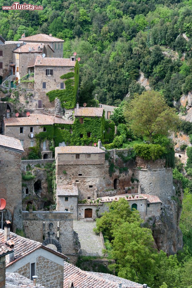 Immagine Uno splendido scorcio del borgo toscano di Scansano, in Maremma.
