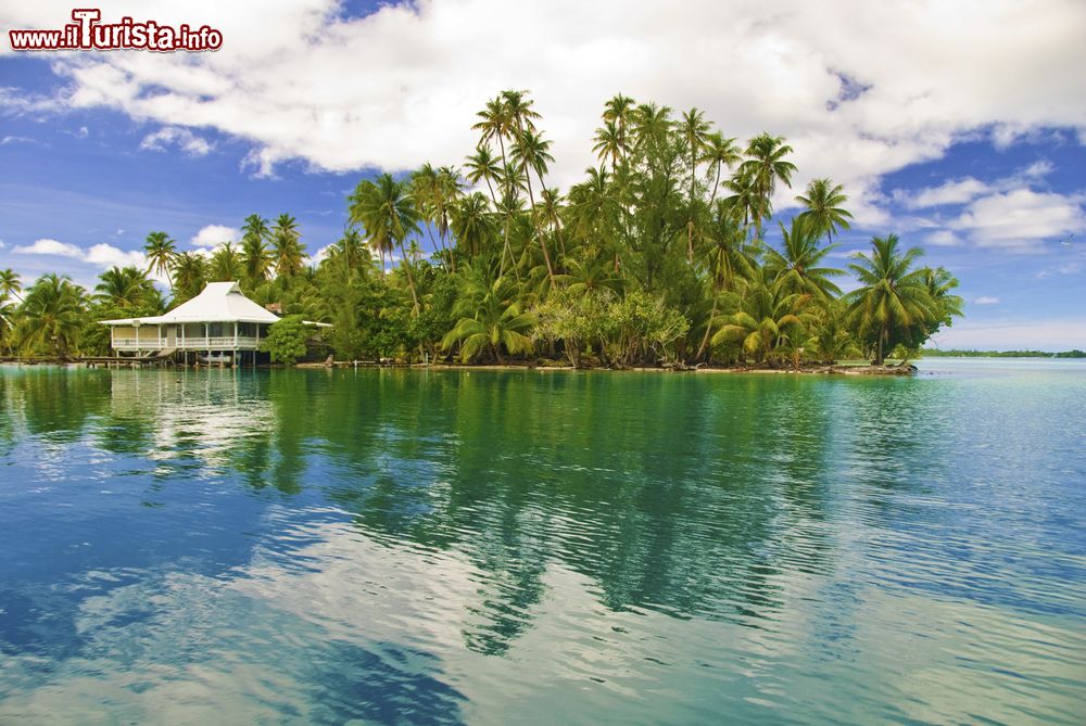 Immagine Uno splendido scorcio della laguna dell'isola di Huahine, Polinesia Francese. Sullo sfondo, palme da cocco e una tradizionale capanna in legno.
