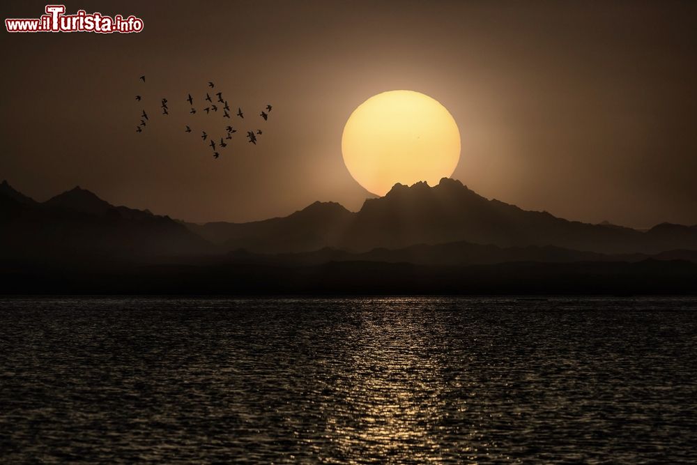 Immagine Uno splendido tramonto a Soma Bay (Hurghada, Egitto). Qui la barriera corallina offre gli scenari più spettacolari per gli appassionati di immersioni: Soma Bay è il punto in cui il Mar Rosso incontra i colori del deserto.