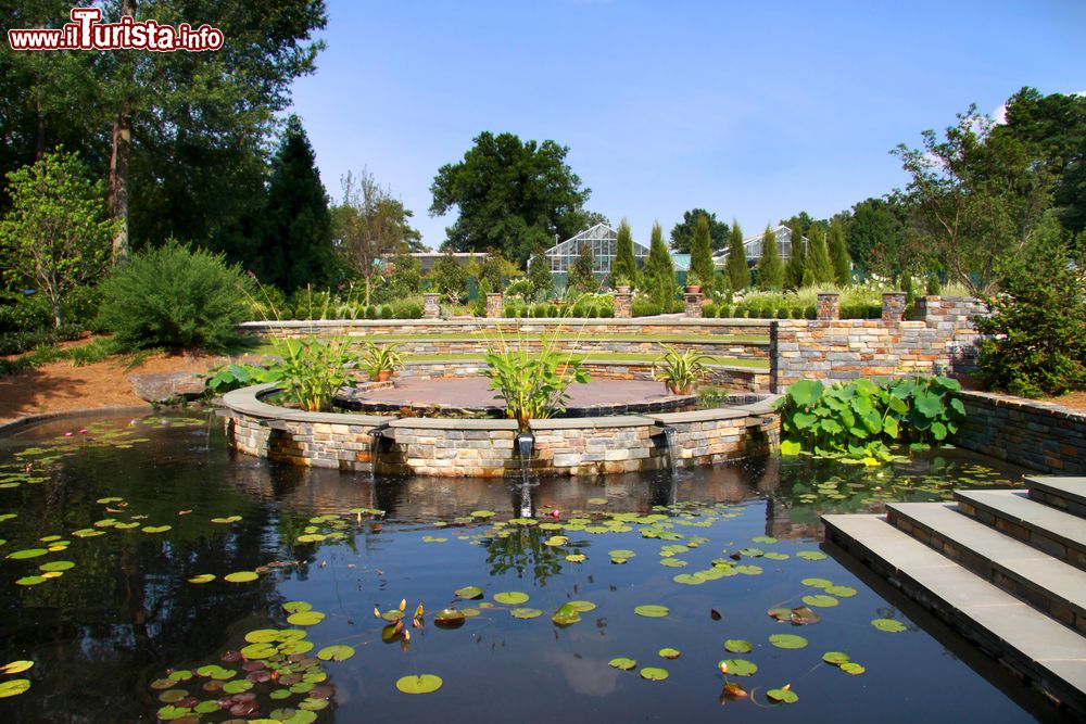 Immagine Uno stagno nei giardini dedicati a Sarah P Duke a Durham, Stati Uniti d'America.