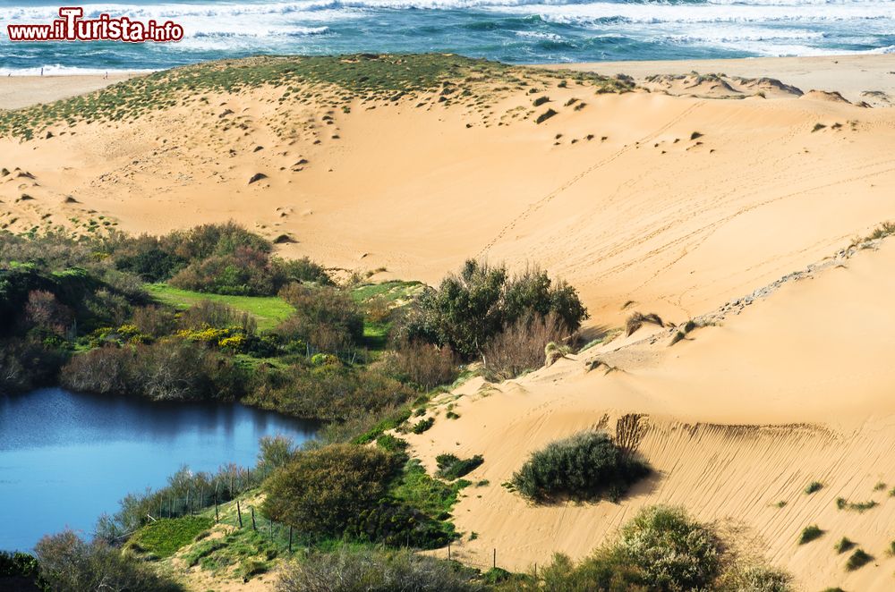 Immagine Uno stagno tra le dune di sabbia di Pistis in Sardegna