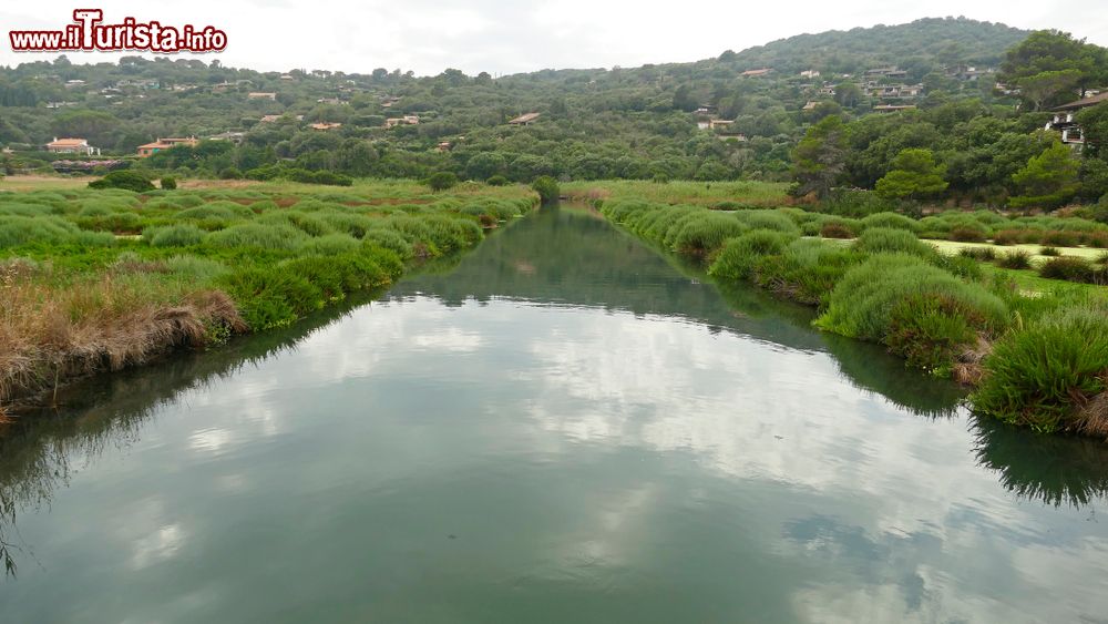 Immagine Uno stagno vicino alla spiaggia di Ansedonia in Maremma, sud della Toscana