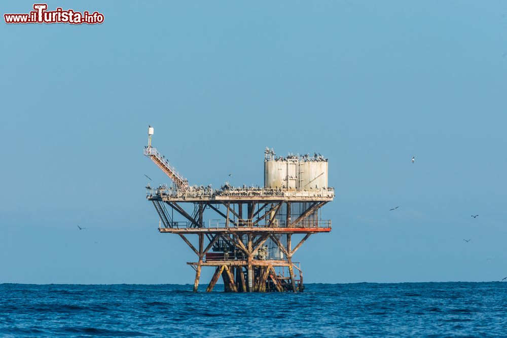 Immagine Uno stormo di uccelli su una piattaforma petrolifera al largo del mare, Piura, Perù. Il primo europeo a raggiungere questa località fu Francisco Pizarro che ne fondò il primo nucleo nel 1532.