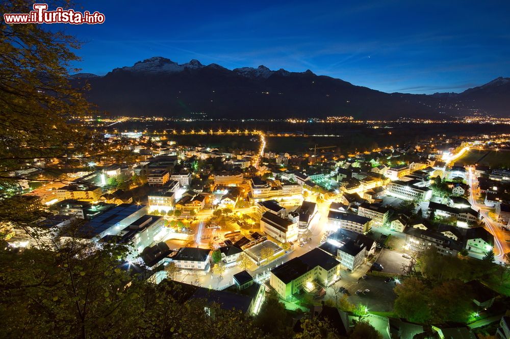 Le foto di cosa vedere e visitare a Vaduz