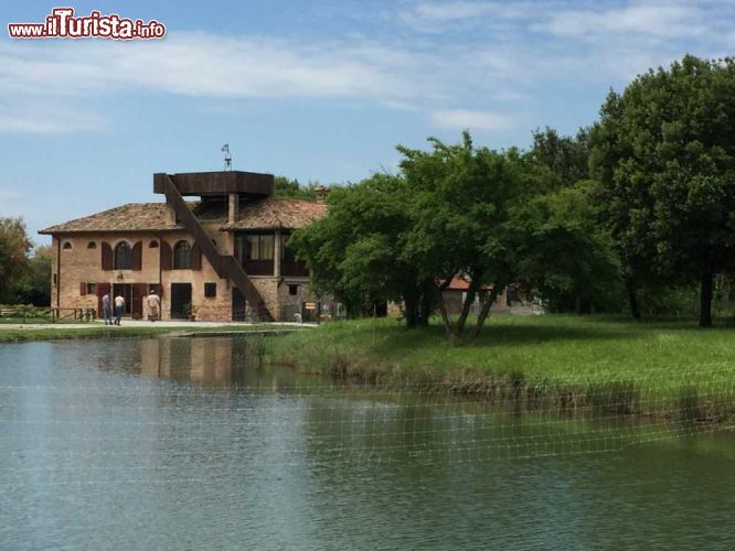 Immagine Valgrande è una zona umida di 360 ettari e si trova nei dintorni di Bibione: è meta ideale per gli appassionati di natura ed escusioni all'aria aperta