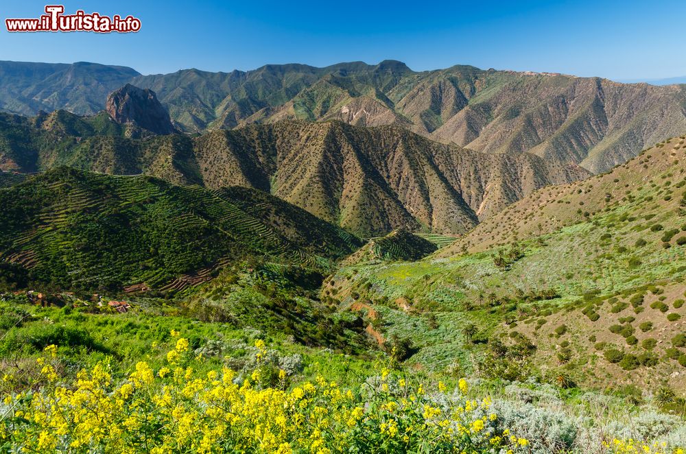 Immagine La lussureggiante valle nei pressi di Agulo, nel nord dell'isola di La Gomera (Canarie, Spagna).
