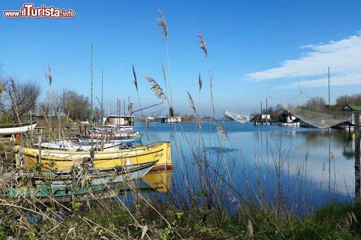 Le foto di cosa vedere e visitare a Casalborsetti