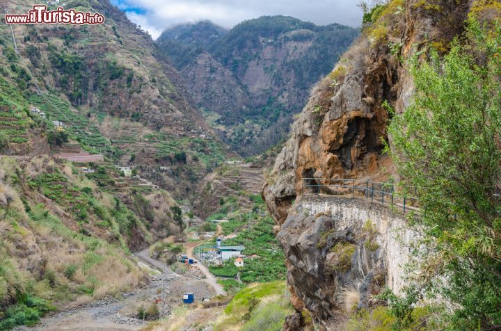 Immagine La Valle Ribeira dos Socorridos, isola di Madeira (Portogallo) - Nel cuore di Funchal vi sono diverse zone adibite per il trekking e questa, rappresenta una delle migliori. Qui si snodano gole profonde e paesaggi a strapiombo che rendono i panorami anche piuttosto suggestivi. I giardini, gli orti e tutta la natura circostante accompagnano poi chiunque in un percorso fatto di più di 150 metri di salita, il che rende il tratto percorribile solo da coloro che se la sentono, non tanto per il dislivello quanto per l'impatto emotivo forte, oltre che quello fisico - © A_Mikhail / Shutterstock.com