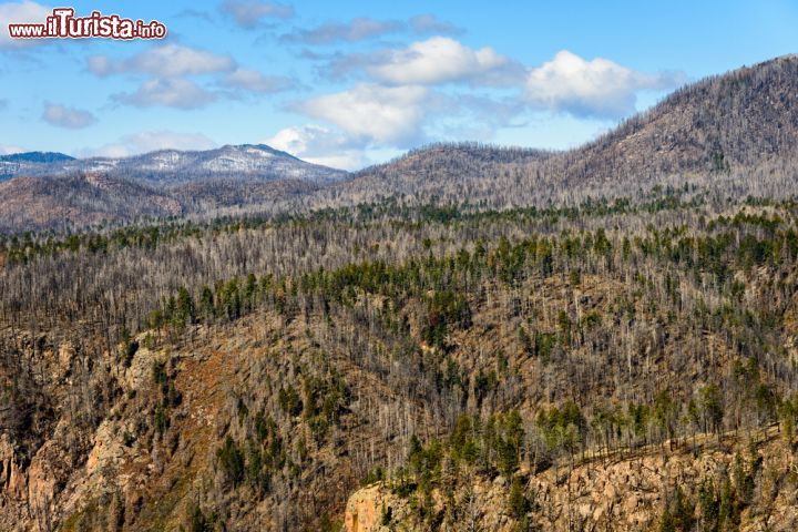 Immagine La Valles Caldera è ciò che resta di un Supervulcano vicino a Santa Fe nel New Mexico (USA) - © 303657470 / Shutterstock.com