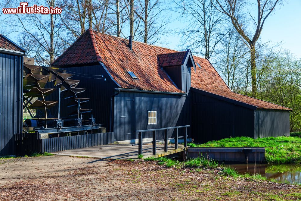 Immagine Van Gogh dipinse il mulino di Kollen nei dintorni di Nuenen, in Olanda.