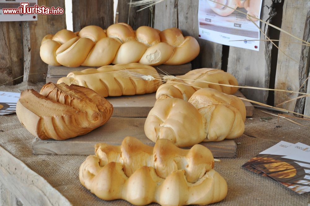Immagine Vari tipi di pane esposti alla Fiere Millenaria di Gonzaga