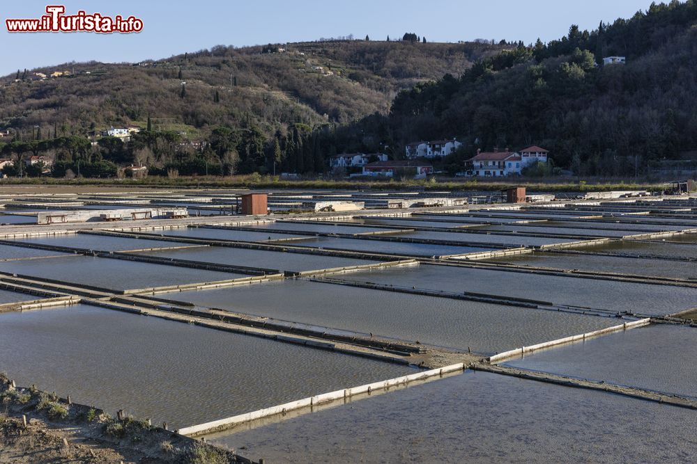 Immagine Vasche per la raccolta del sale a Strugnano in Slovenia