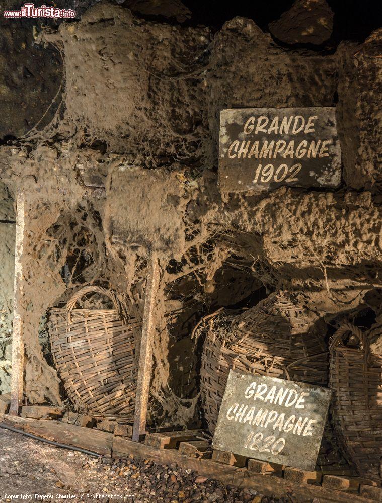 Immagine Vecchi contenitori in vetro e paglia nelle distillerie Otard di Cognac, Francia - © Evgeny Shmulev / Shutterstock.com