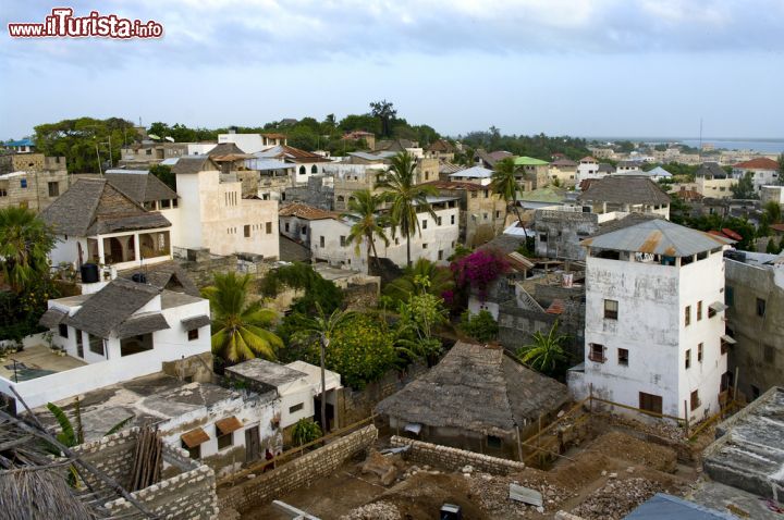 Immagine La città vecchia: le tradizioni e il folclore swahili nell'isola di Lamu - la città vecchia è una delle principali attrazioni dell'isola di Lamu, in Kenya. Passeggiando per le sue strade tortuose, si rimane incantati dalla presenza dei tanti asini da trasporto usati dagli abitanti del luogo, dagli edifici arabeggianti ancora risalenti alla presenza ottocentesca dell'Oman sull'isola, dai mercati e dalle abitudini, gli usi e i costumi degli abitanti di questa isola in cui il tempo sembra essersi fermato. - © Byelikova Oksana / Shutterstock.com