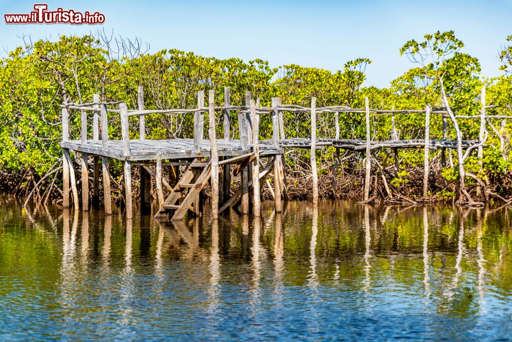 Immagine Il vecchio molo di legno costruito vicino alla foresta di mangrovia a Takwa, Manda Island, Kenya. Quest'isola fa parte dell'arcipelago Lamu ed è famosa per i porti di Takwa e Manda, entrambi del IX° secolo.