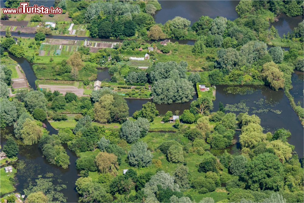 Immagine Veduta aerea dei canali di Amiens, Francia. Gli "hortillonnages", così sono chiamati i canali vicino al centro storico della città, si estendono su un'area di 300 ettari. Un tempo quest'area era adibita all'orticoltura.