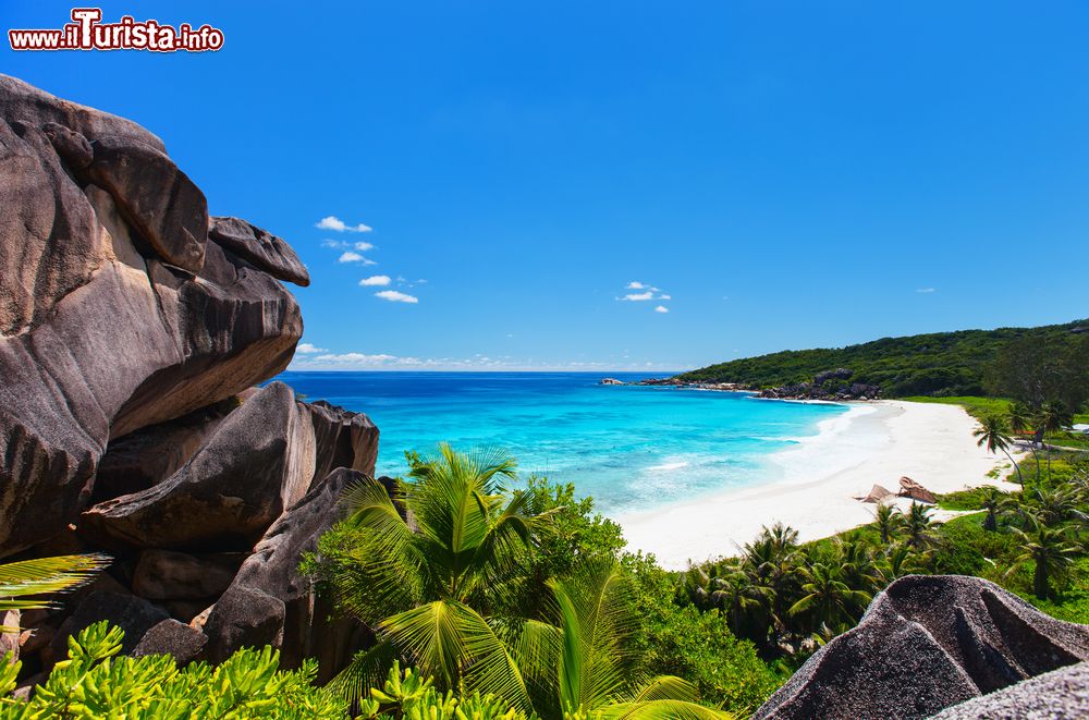 Immagine Veduta aerea della spiaggia Grand Anse a La Digue, Seychelles. Un suggestivo scorcio fotografico di quest'isola dell'Oceano Indiano, la quarta più grande abitata delle Seychelles.