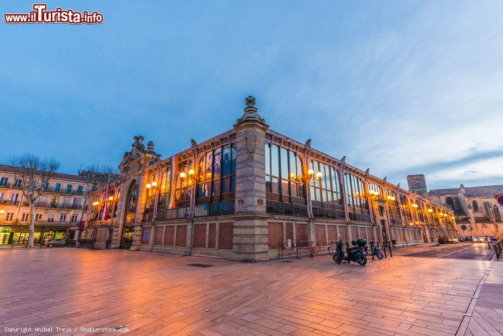 Immagine Veduta by night de Les Halles Market a Narbonne, Francia. Celebre in tutto il sud della Francia, il mercato coperto della città accoglie più di 70 negozi di prodotti alimentari  - © Anibal Trejo / Shutterstock.com