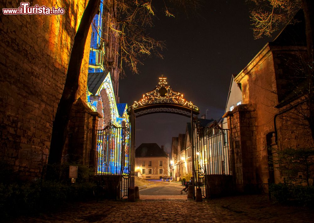 Immagine Veduta by night dei giardini del vescovado di Chartres (Francia) durante il Festival delle Luci.