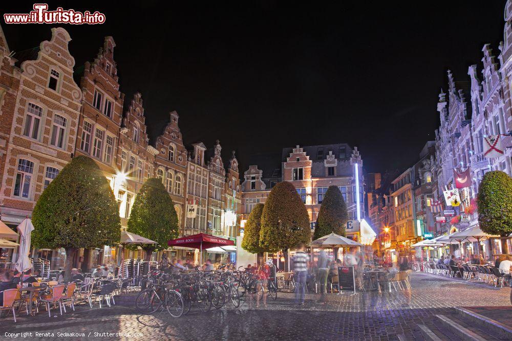 Immagine Veduta by night dell'Oude Markt a Leuven (Belgio). Si tratta del principale luogo d'incontro per turisti e cittadini di tutta Leuven - © Renata Sedmakova / Shutterstock.com