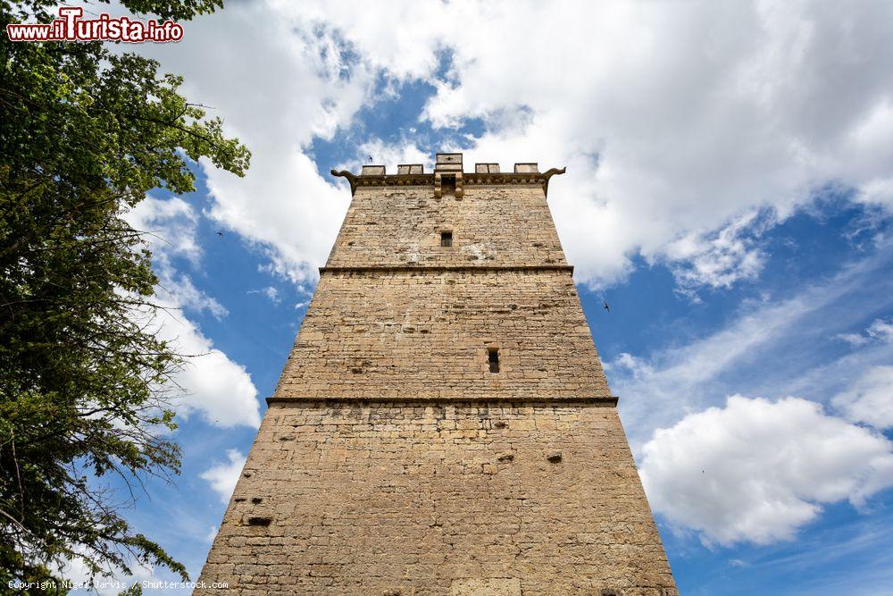 Immagine Veduta dal basso in alto della Torre Laubespin al castello di Montbard, Borgogna (Francia) - © Nigel Jarvis / Shutterstock.com