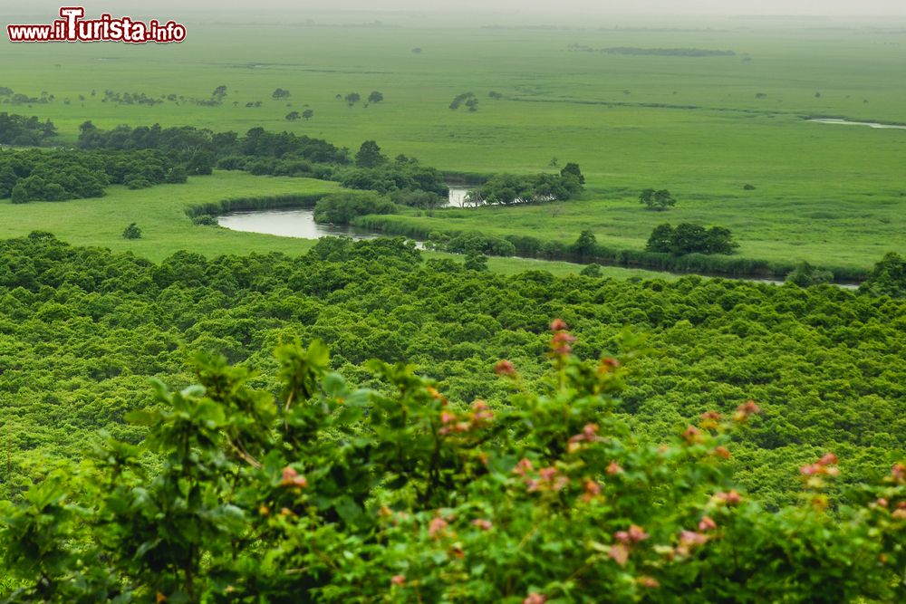 Immagine Veduta dall'alto della Marsh Area di Kushiro, Giappone. Questa immensa palude che si estende a nord di Kushiro si sviluppa per 183 chilometri quadrati e ospita duemila varietà di animali e piante.