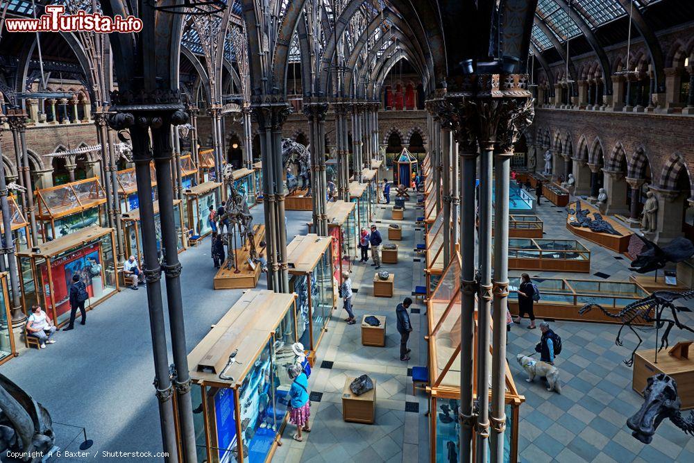 Immagine Veduta dall'alto dell'interno del Museo di Storia Naturale di Oxford, Inghilterra (UK). La sua fondazione risale al 1860 - © A G Baxter / Shutterstock.com