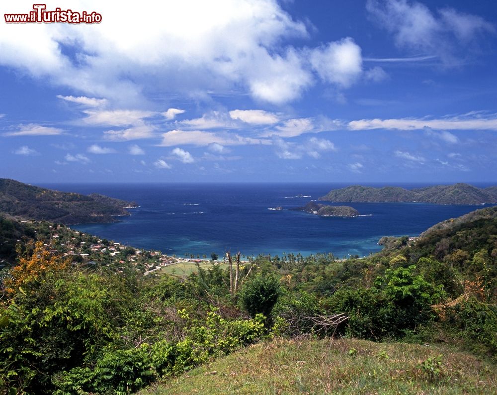 Immagine Veduta dall'alto di Speyside, isola di Tobago, Repubblica di Tobago e Trinidad. Qui si trovano alcune delle migliori barriere coralline dell'isola di Tobago: siamo in uno dei siti più famosi per le immersioni.