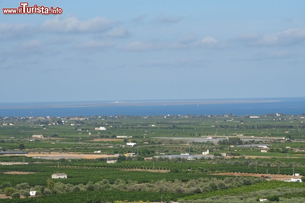 Immagine Veduta dei vigneti di Vinaros (Spagna) con il mare sullo sfondo.