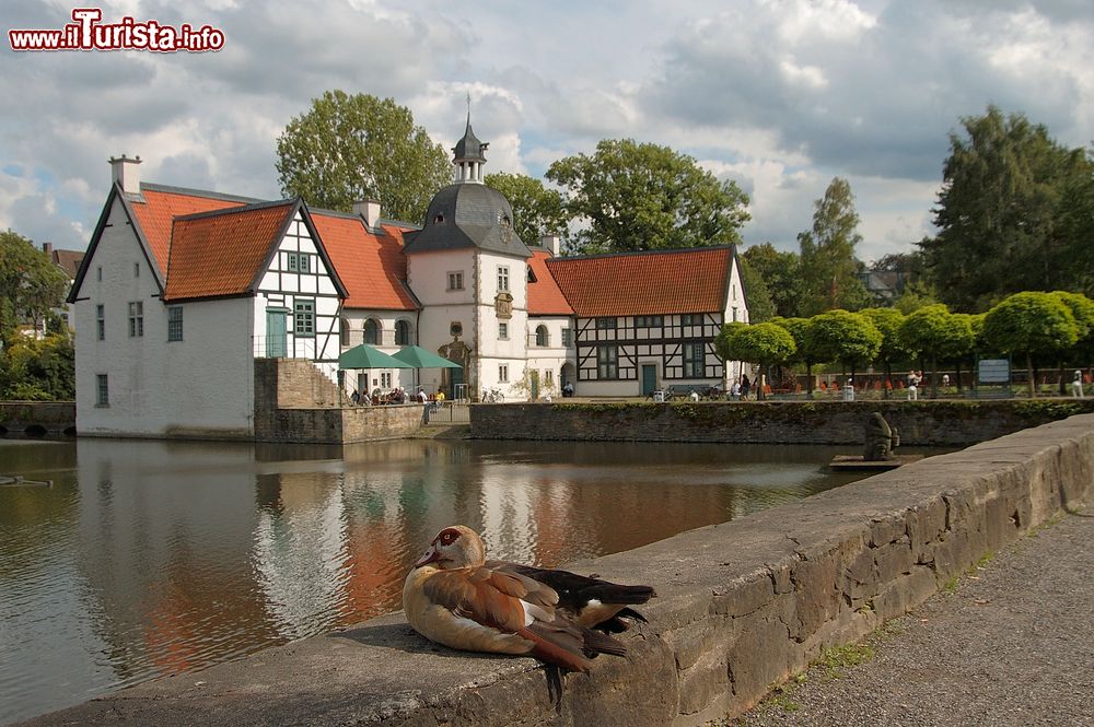 Immagine Veduta del castello di Rodenberg a Dortmund, Germania.