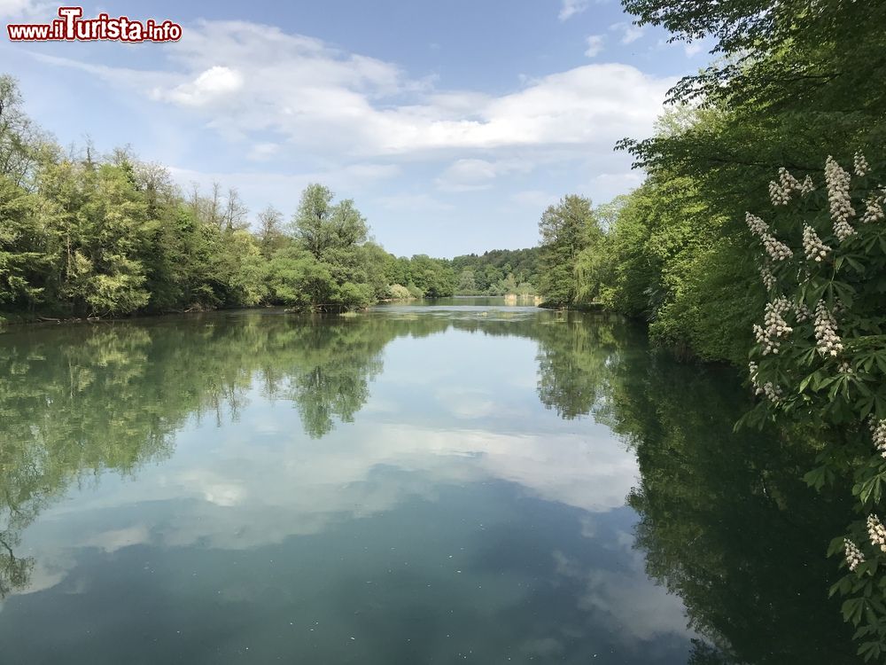 Immagine Veduta del fiume Krka nei pressi di Otocec, Slovenia. Lungo 72,5 km, questo corso d'acqua nasce nelle Alpi Dinariche e sfocia nell'Adriatico vicino a Sebenico.