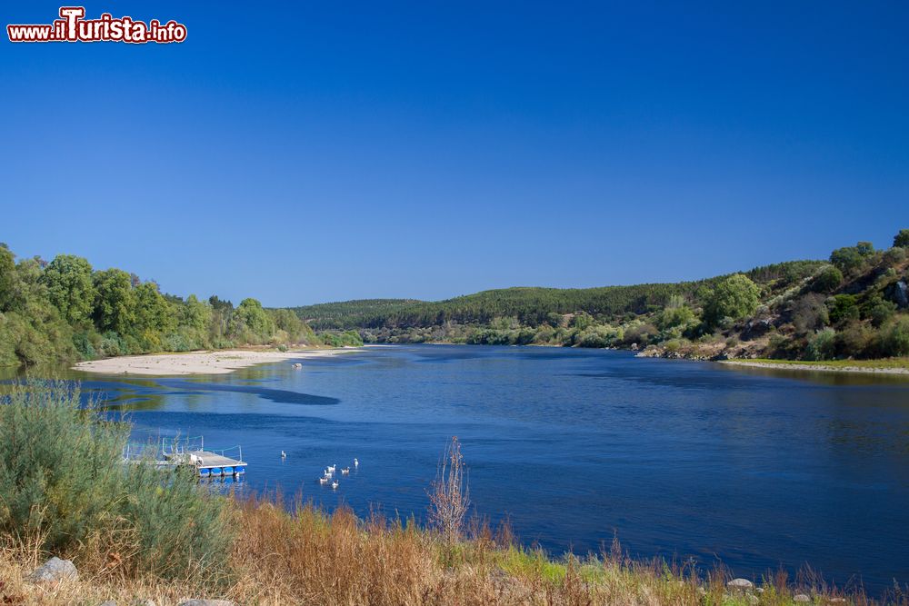 Immagine Veduta del fiume Tago da Vila Nova da Barquinha, Portogallo. Questa pittoresca cittadina portoghese sorge in una località estremamente verde e fertile.