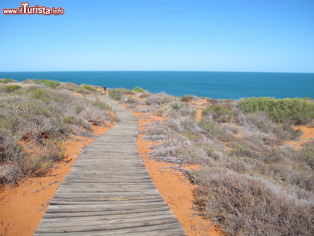 Immagine Veduta del Francois Peron National Park a Shark Bay, Western Australia. 