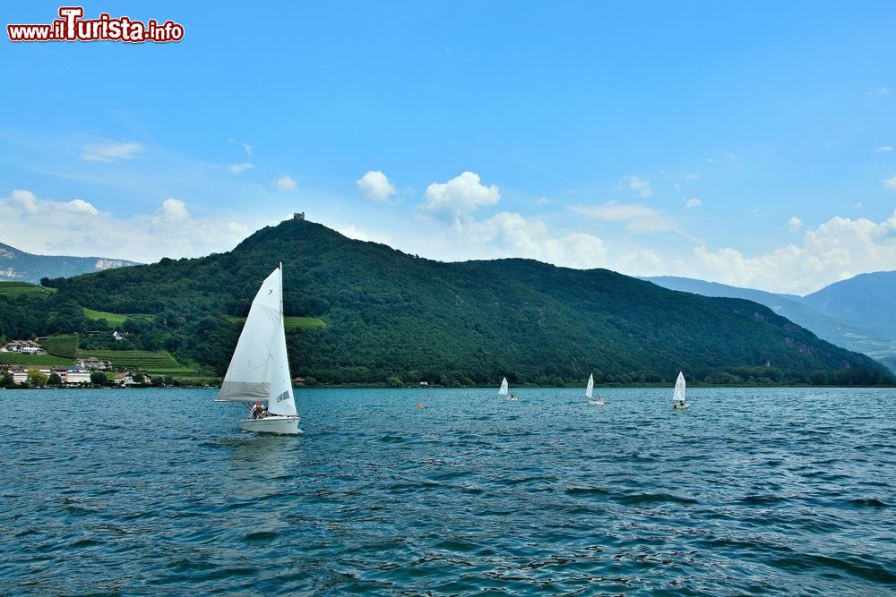 Immagine Veduta del lago Caldaro, Trentino Alto Adige. Grazie alle sue caratteristiche naturali, il lago favorisce attività sportive come il windsurf e la barca a vela.