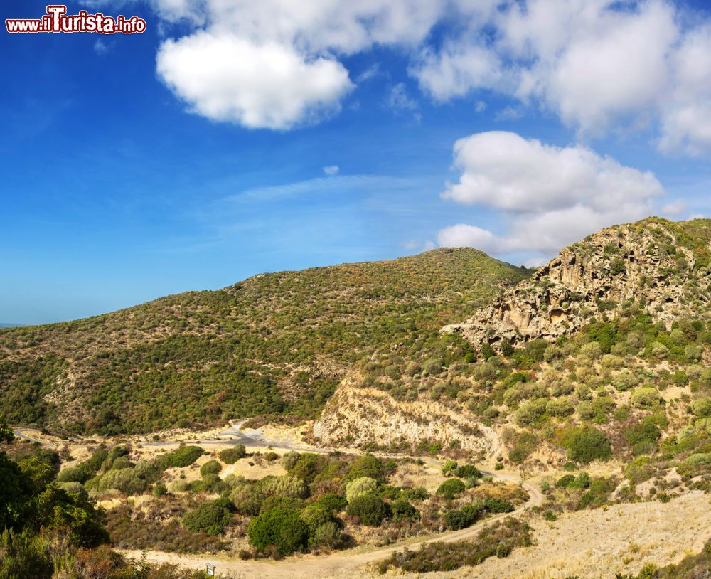 Immagine Veduta del monte Arci nei pressi di Masullas, Sardegna. Questo massiccio isolato si erge nella piana di Uras nella pianura del Campidano. Alle sue falde si trova una gran quantità di ossidiana.