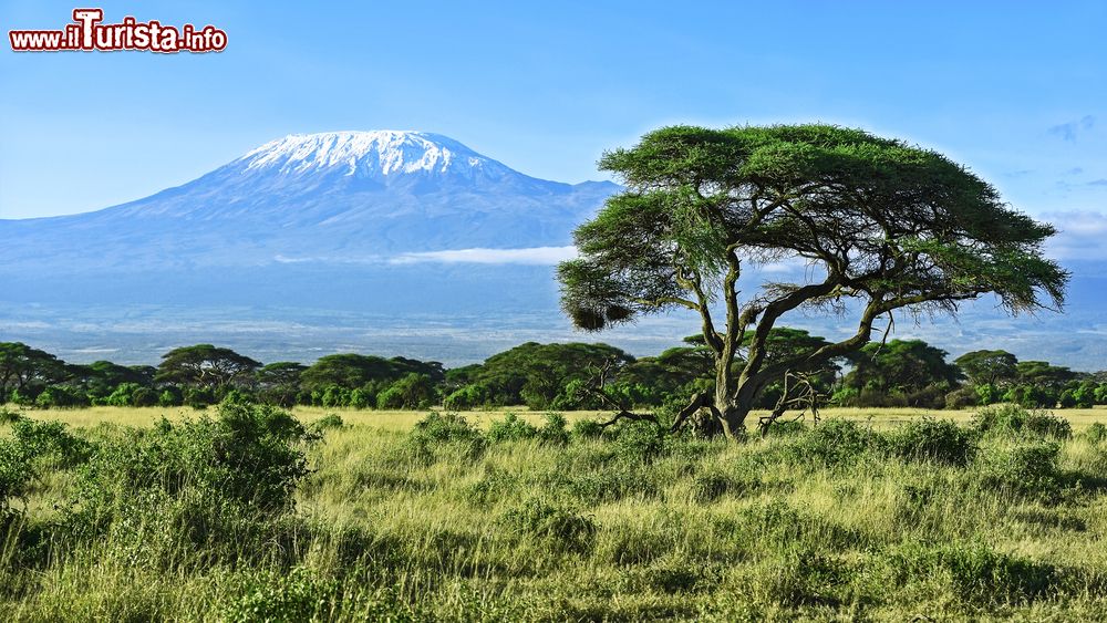 Immagine Una veduta del monte Kilimanjaro, con la cima innevata, dall'Amboseli, Kenya. Con i suoi 5895 metri, è il monte più alto del continente africano.