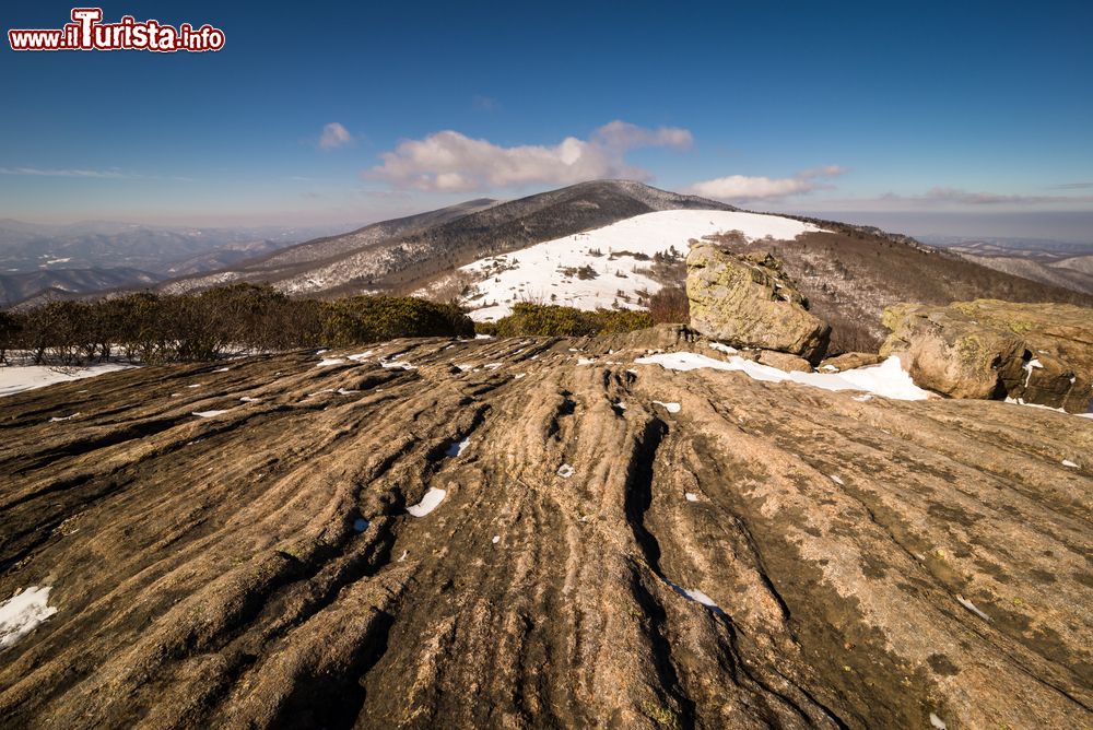 Immagine Veduta del monte Roan con un pò di neve da Janes Bald, Great Smoke Mountains (catena degli Appalachi), USA.