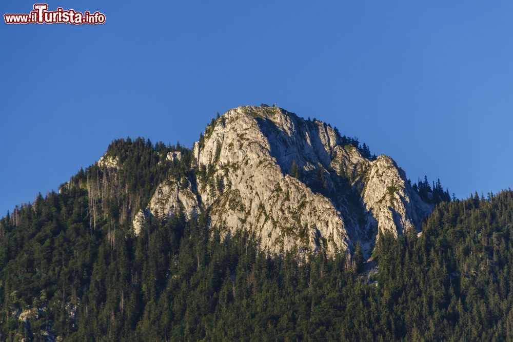 Immagine Una veduta del monte Schober sul lago Fuschl in estate, Austria.