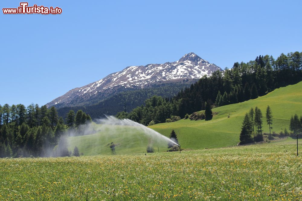 Immagine Veduta del Reschenpass a Curon Venosta, Trentino Alto Adige. Situato non lontano dal confine austriaco in prossimità della Svizzera, questo valico mette in comunicazione il Tirolo e l'Alto Adige. Geograficamente il valico è in territorio italiano.